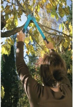 GARDENA Comfort 500 BL Takkenschaar - Max Knipdiameter 35 Mm 16 GARDENA Comfort 500 BL Takkenschaar - Max Knipdiameter 35 Mm -Tuingereedschap Winkel 825x1200 7