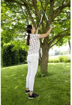 GARDENA - TeleCut Telescopische - Takkenschaar 520-670B - 42 Mm Verstelbare Lengte -Tuingereedschap Winkel 826x1200