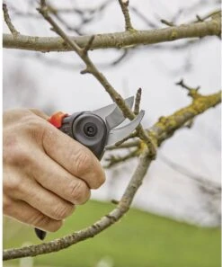 GARDENA - ExpertCut - Snoeischaar - 22 Diameter Tak -Tuingereedschap Winkel 999x1200 1